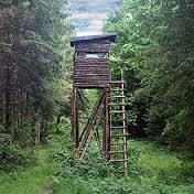 Offres pour la chasse à l&#8217;approche ou à l&#8217;affût chez Natura Vallée à Schirmeck dans le Bas-Rhin. Saint-Dié-des-Vosges