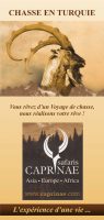 FLYER CHASSE EN TURQUIE Colmar 0