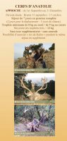 FLYER CHASSE EN TURQUIE Erstein 2
