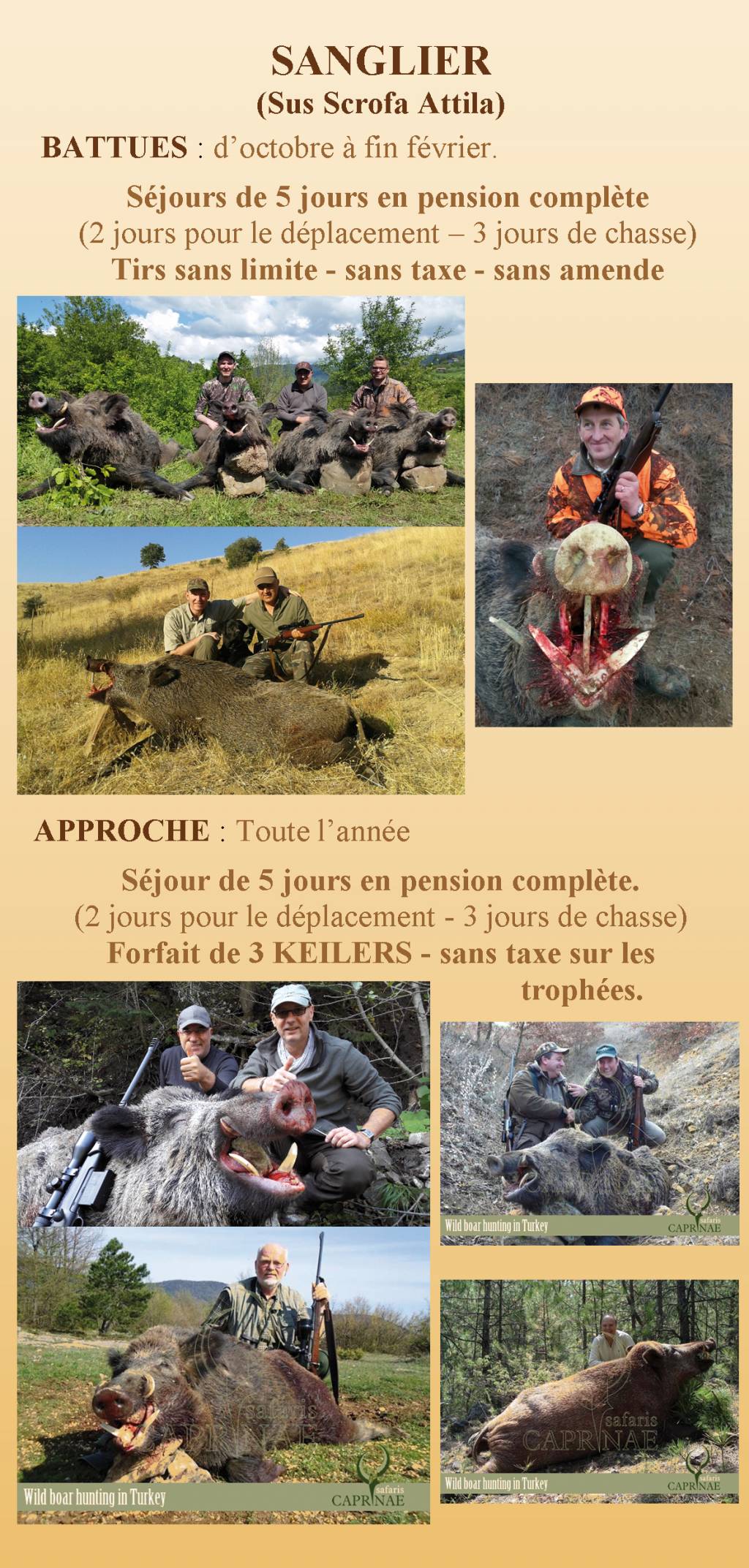 Chasse aux sangliers Ostwald 0