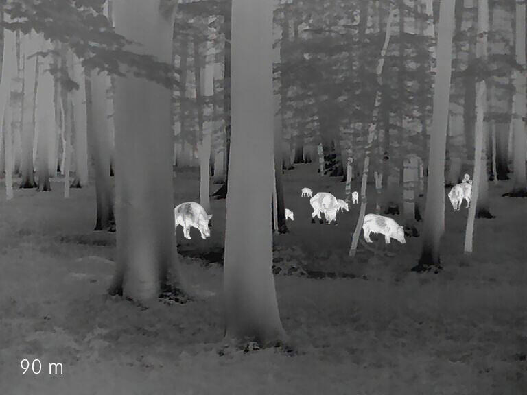LEICA CALONOX SIGHT Ostwald 1