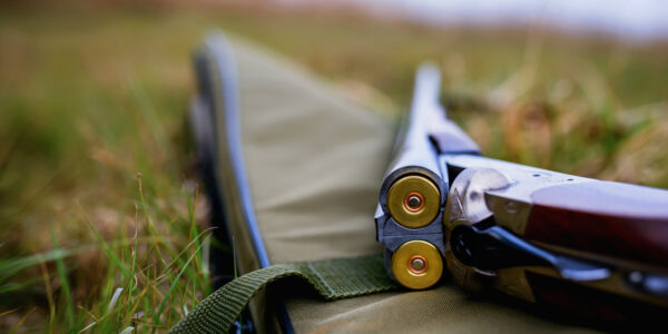 Armes de loisirs