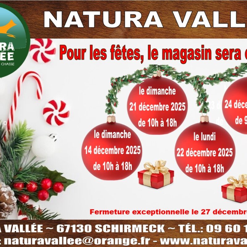 Horaires d’ouverture pour les f&ecirc;tes de fin d’ann&eacute;e 2025 ! Sarrebourg